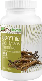 פטריות קורדיספס MyHerbs